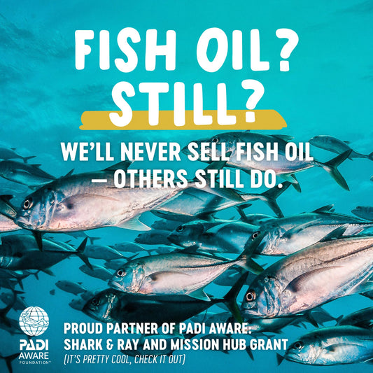 Freshfield Vegan Omega-3 from Algae – DHA + DPA - Calm Era