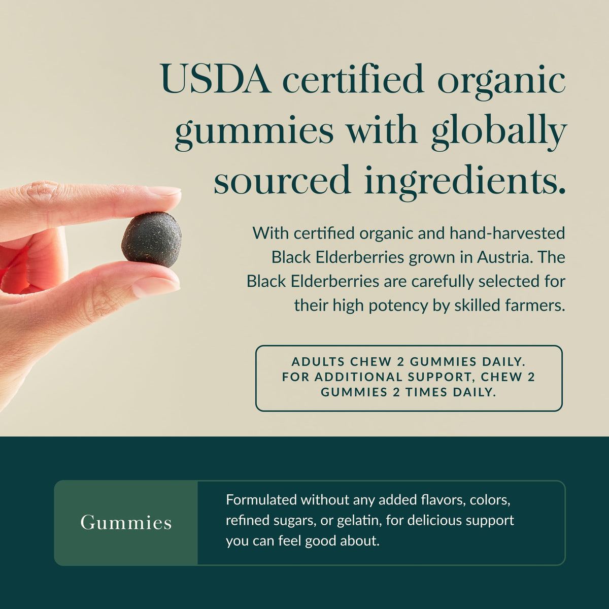 Gomitas de saúco negro de Gaia Herbs – Apoyo inmunitario de fuerza extra | 120 gomitas