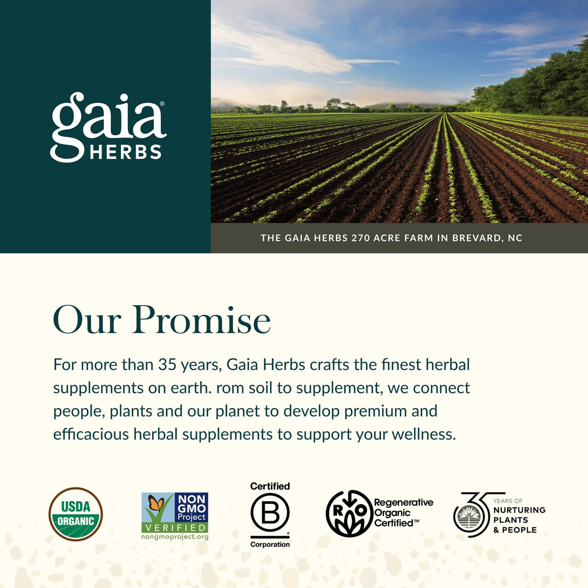 Gomitas de saúco negro de Gaia Herbs – Apoyo inmunitario de fuerza extra | 120 gomitas