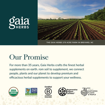 Gomitas de saúco negro de Gaia Herbs – Apoyo inmunitario de fuerza extra | 120 gomitas