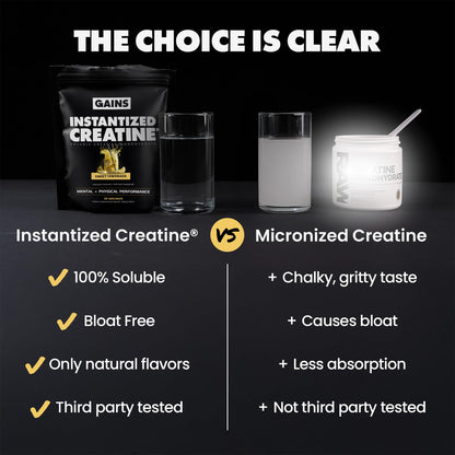 Gains in Bulk Instantized Creatine Monohydrate – Sweet Lemonade 30 Servings - Calm Era