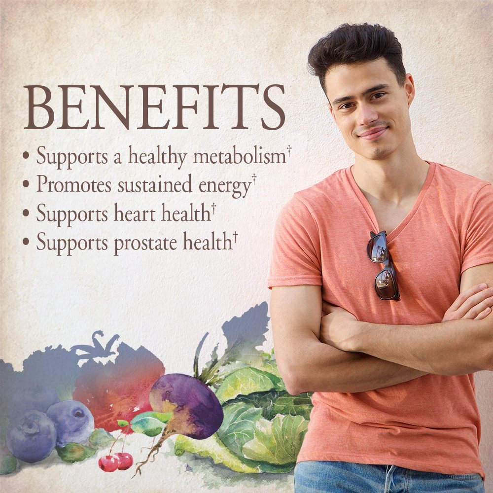 Garden of Life Once Daily Men's Multivitamin – Organic Vegan for Men, Prostate & Heart Support, 60 Tablets - Calm Era