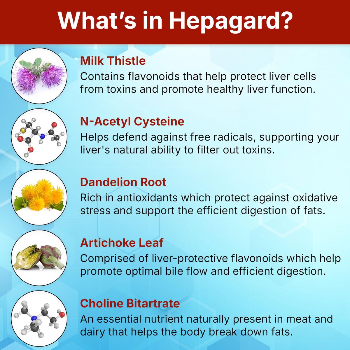Hepagard - Suplemento Natural para el Hígado con N-Acetil Cisteína (NAC) - No OGM, Vegano, Sin Gluten