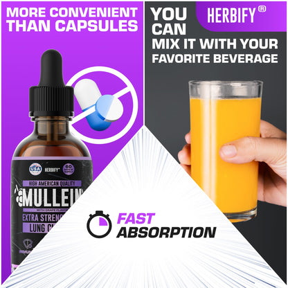Herbify Mullein Drops Lung & Immune Support 4oz Grape - Calm Era