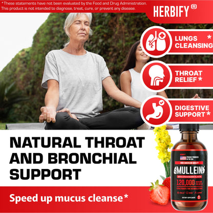 Herbify Mullein Drops – Strawberry 4oz - Calm Era