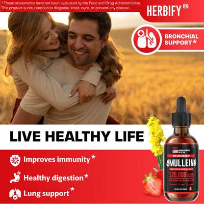 Herbify Mullein Drops – Strawberry 4oz - Calm Era