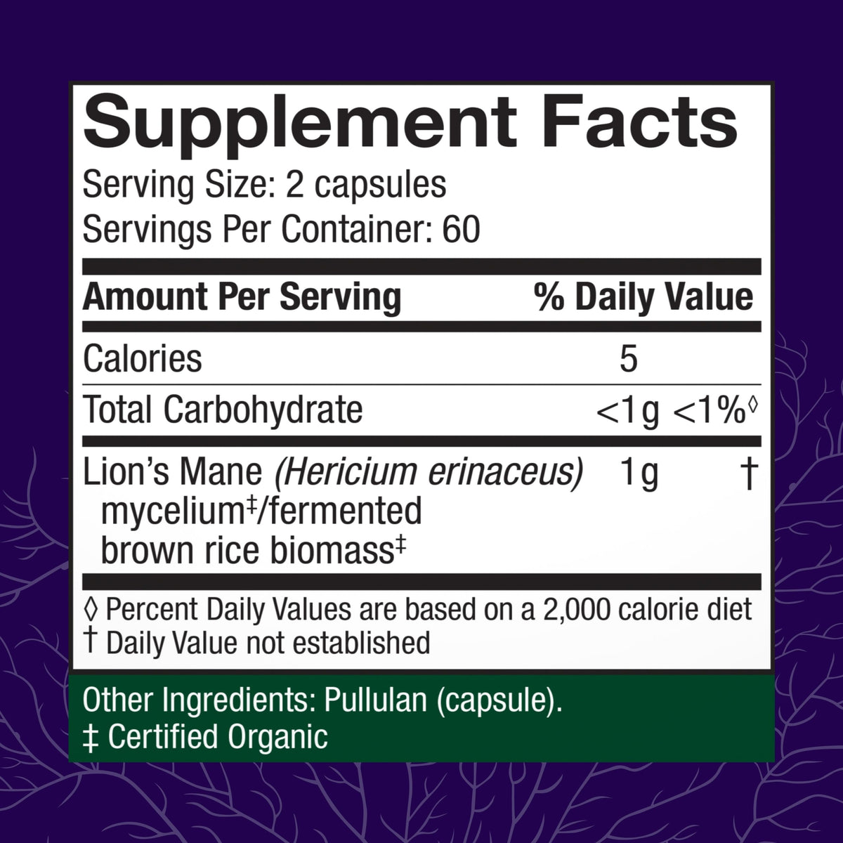 Host Defense Mushrooms Lion's Mane – Brain Health, Focus & Memory (120 Capsules) - Calm Era