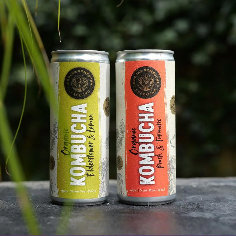Two cans of Kombucha on a stone surface with a blurred green background