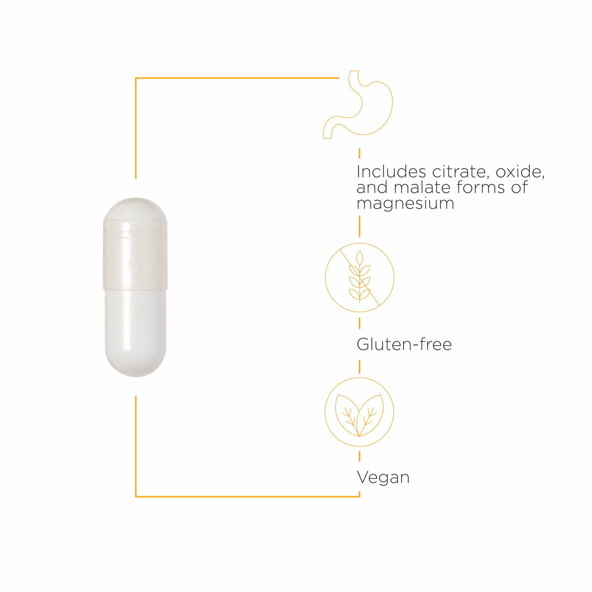 Integrative Therapeutics Tri-Magnesium – Cellular Energy & Muscle Support | 180 Capsules - Calm Era