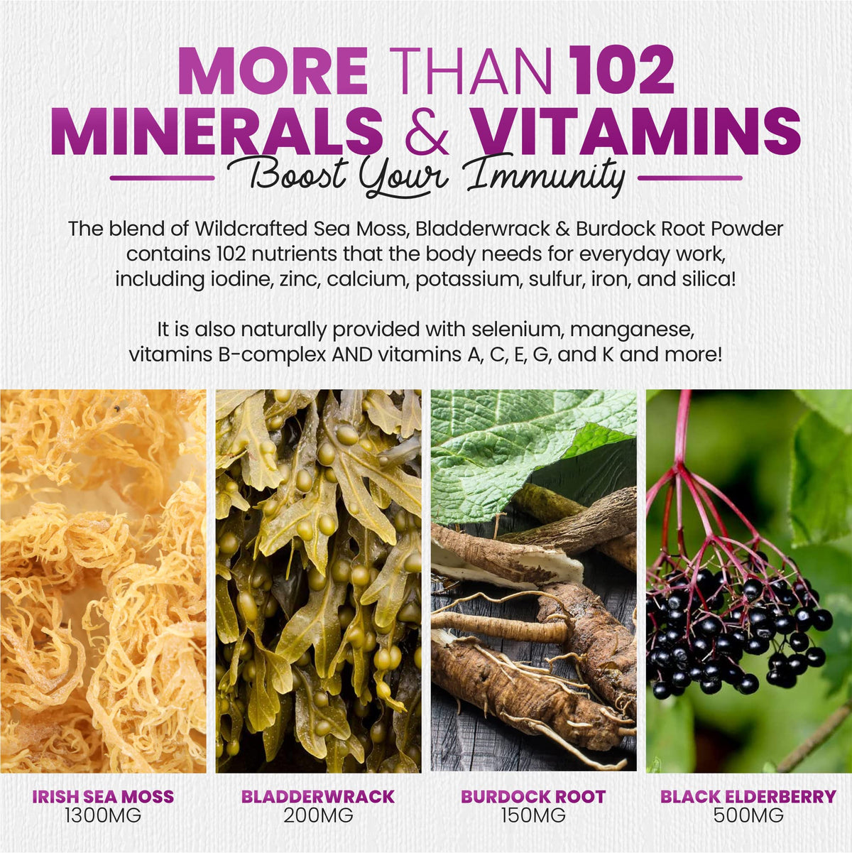 Irish Sea Moss Gummies with Elderberry & Black Seed Oil – Overall Wellness | Raspberry | 60 Gummies