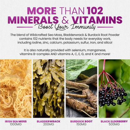 Irish Sea Moss Gummies with Elderberry & Black Seed Oil – Overall Wellness | Raspberry | 60 Gummies