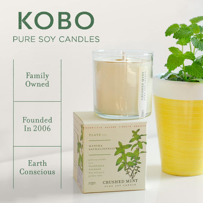 Vela KOBO Catalán Caléndula con Caja Plantable - 9 oz, 100% Soja, Vertida a Mano en EE. UU.