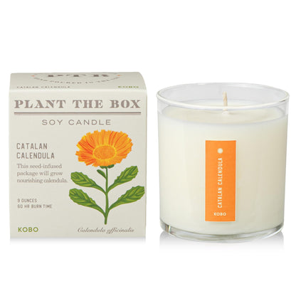 Vela KOBO Catalán Caléndula con Caja Plantable - 9 oz, 100% Soja, Vertida a Mano en EE. UU.