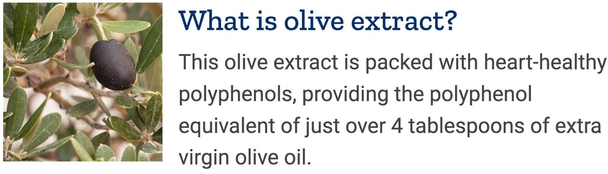Life Extension Super Omega-3 – Sesame Lignans & Olive Extract | 360 Softgels × 2 - Calm Era