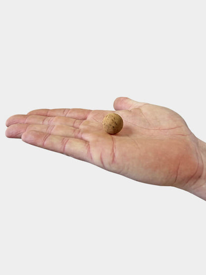 Bolas de masaje de Yoga Studio Cork – Paquete de cuatro