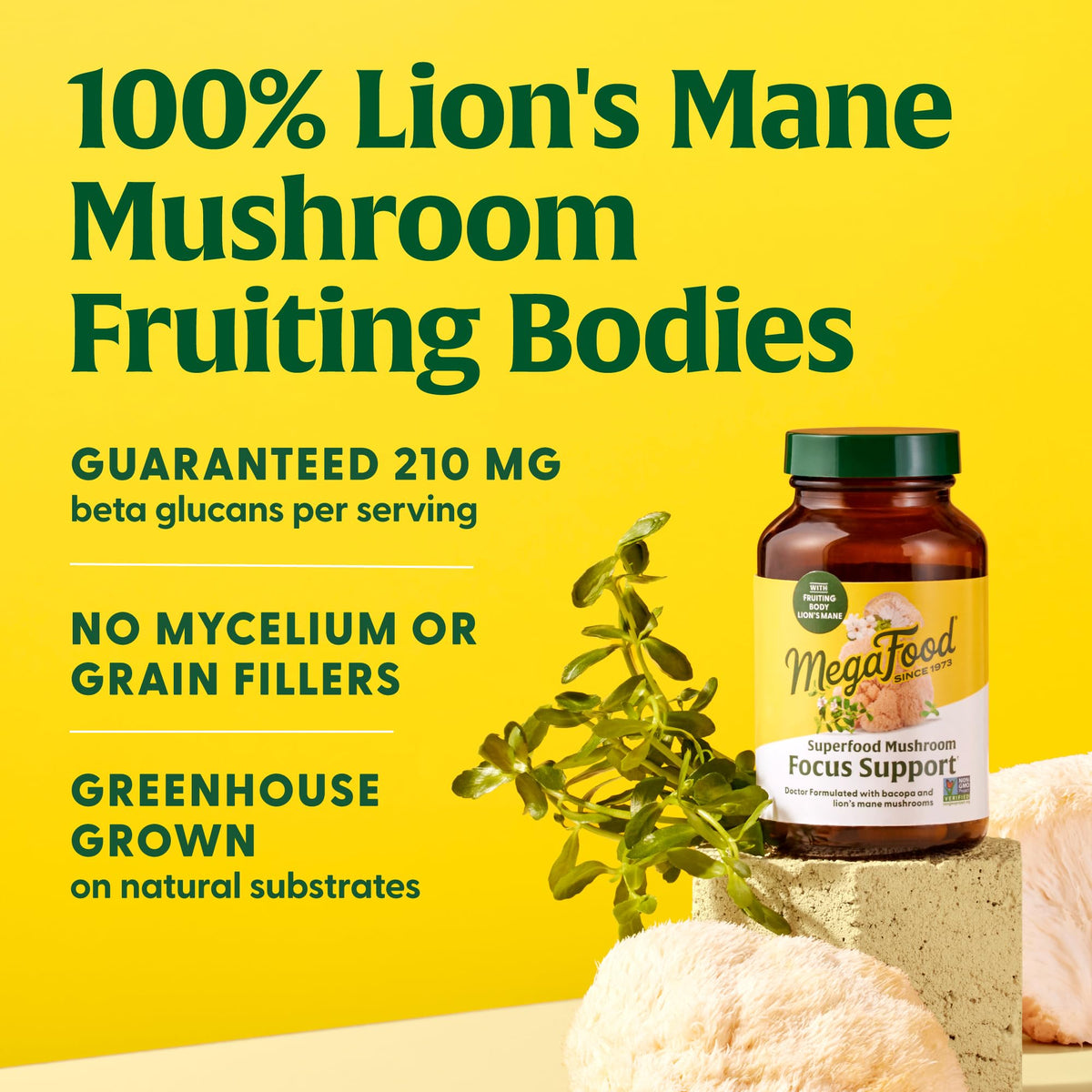 MegaFood Superfood Champiñón Enfoque y Soporte – Melena de León con Bacopa 60 Cápsulas