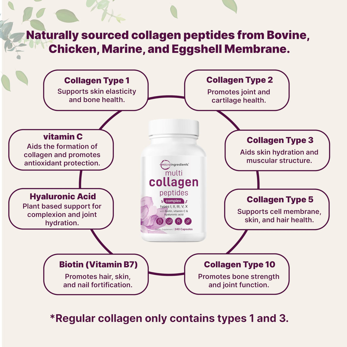 Micro Ingredients 2 Pack Multi Collagen Pills – Types I–X, Biotin & Hyaluronic Acid - Calm Era