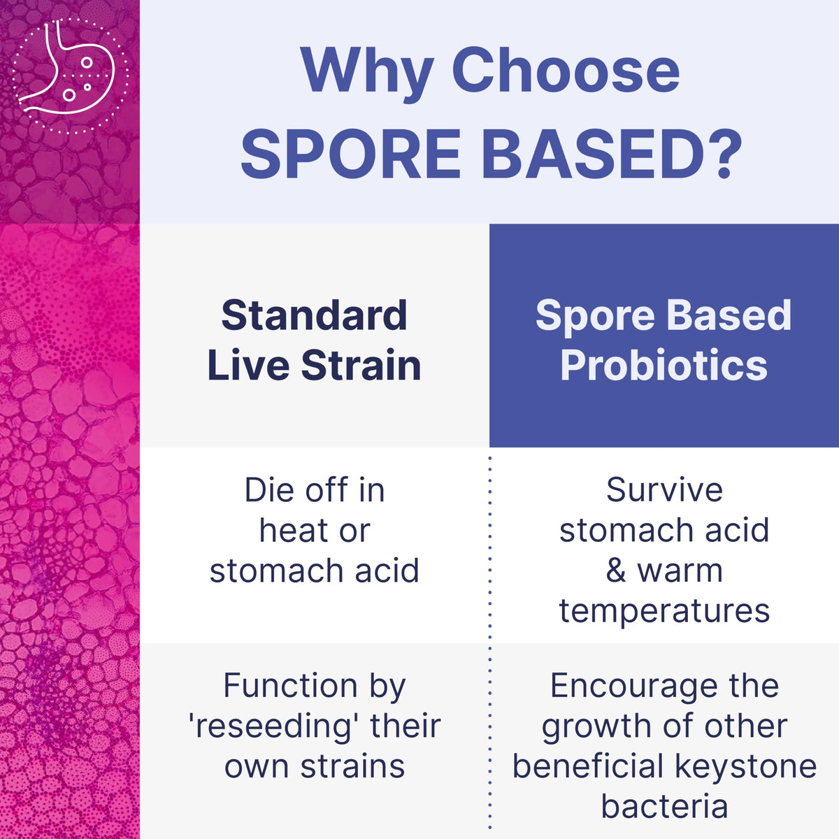 Microbiome Labs MegaSporeBiotic Probiotics for Women & Men - Spore-Based Digestive Health (60 Capsules) - Calm Era