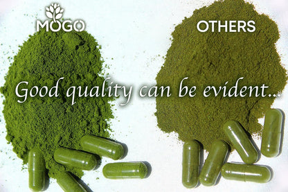 MOGO Organic Moringa Capsules 180ct | Made in USA | No Fillers