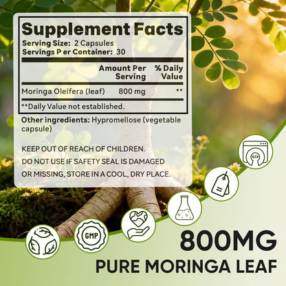 Golden Chapter Cápsulas de Moringa con Hierro, Magnesio, B12 y Vitamina C, 60 unidades