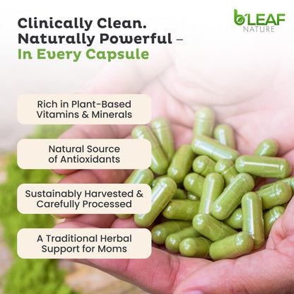 Cápsulas de moringa orgánica B'Leaf Nature 1000 mg | 180 cápsulas veganas sin OMG