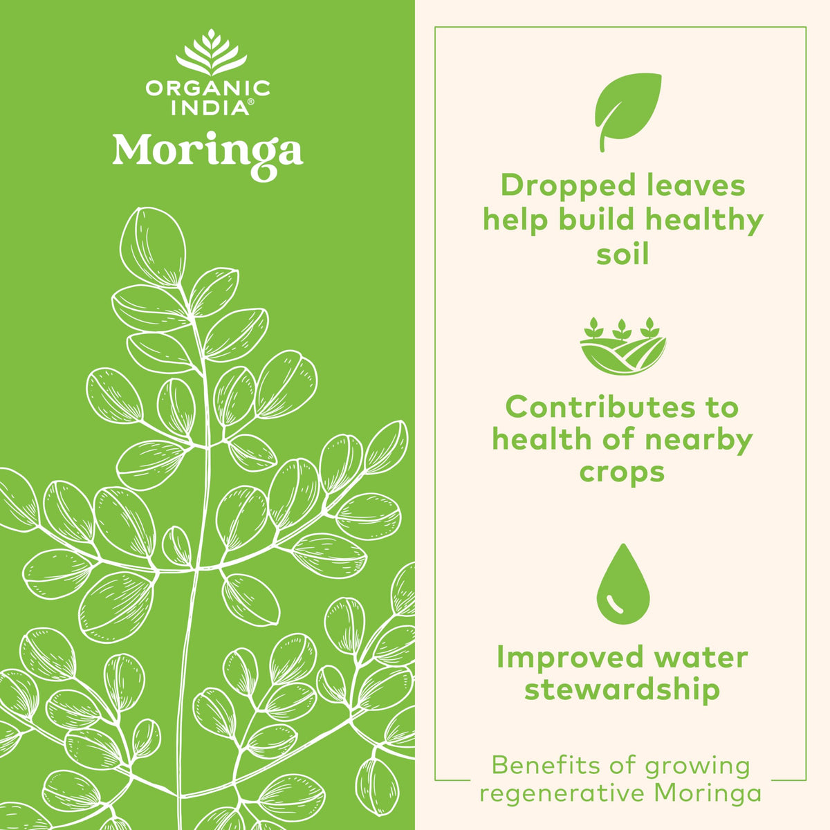 Organic India Moringa Capsules 90ct