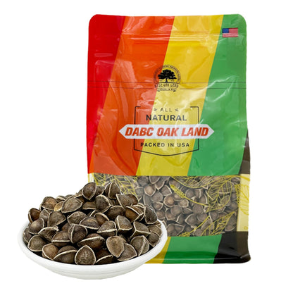 Premium Moringa Oleifera Seeds from India 8oz | 100% Natural Superfood