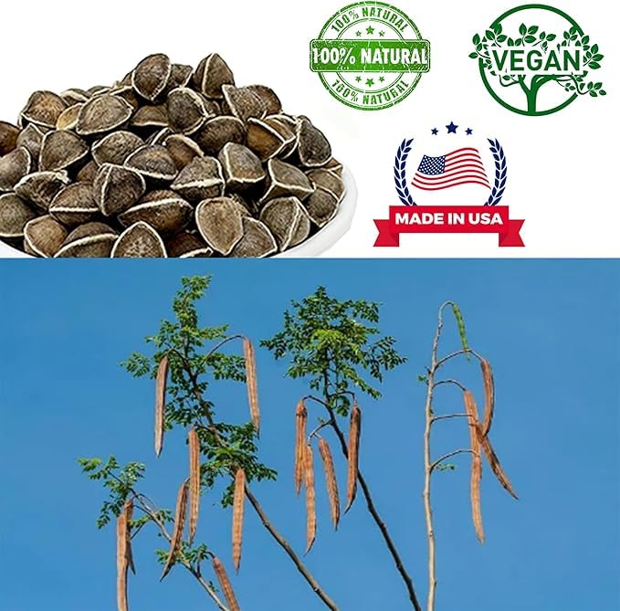 Premium Moringa Oleifera Seeds from India 8oz | 100% Natural Superfood