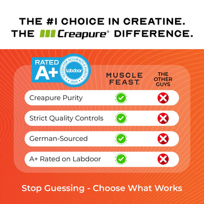 Muscle Feast Creapure Creatine – Orange 300g - Calm Era