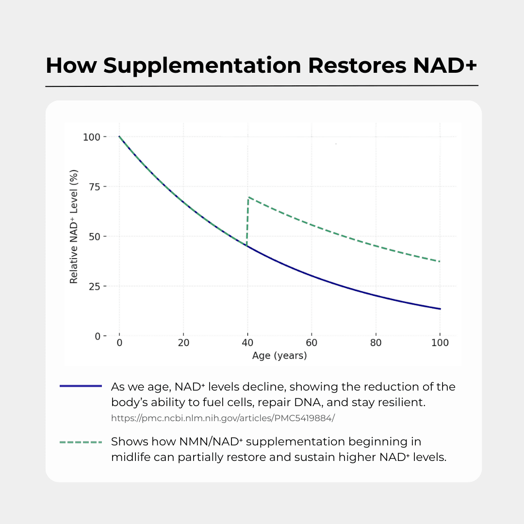 Charava NAD+ 500mg Capsules