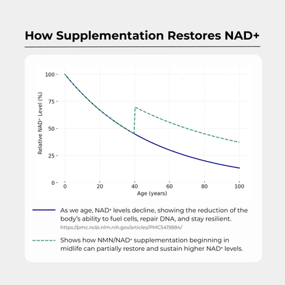 Charava NAD+ 500mg Capsules