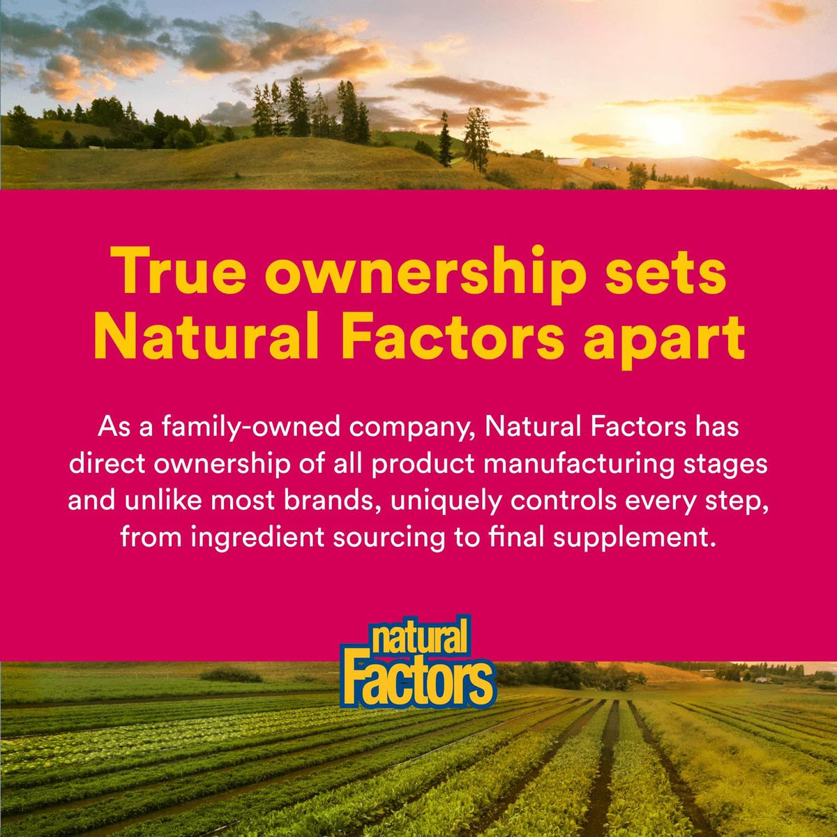 Natural Factors Vitamina C 1000 mg de liberación prolongada — 90 comprimidos