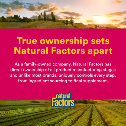 Natural Factors Vitamina C 1000 mg de liberación prolongada — 90 comprimidos