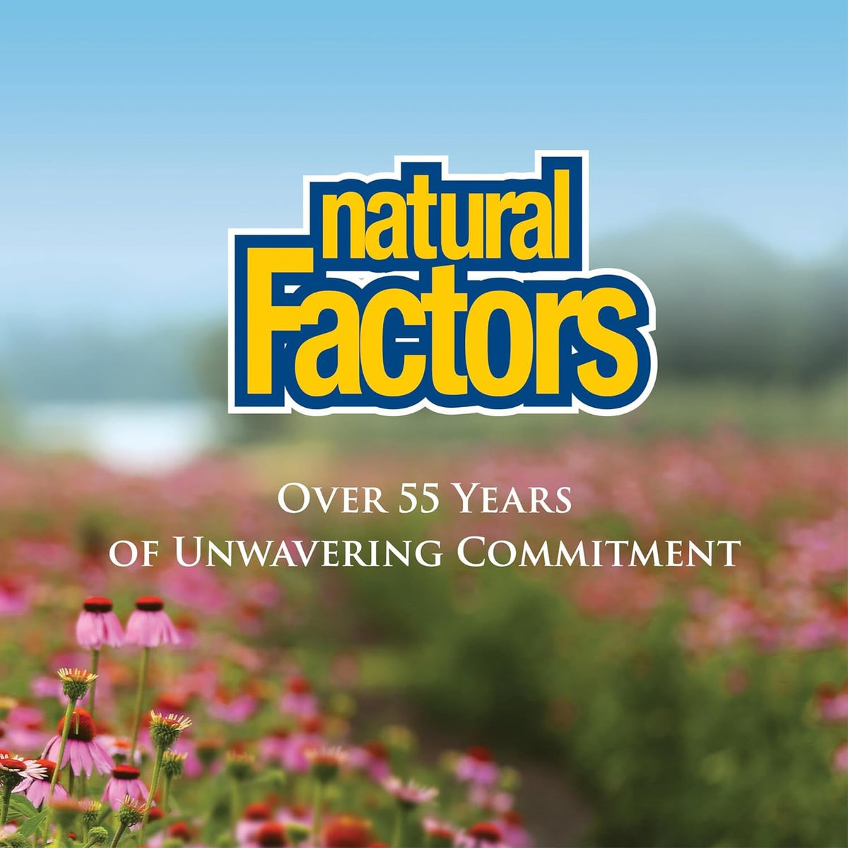 Natural Factors Vitamina C 1000 mg de liberación prolongada — 90 comprimidos