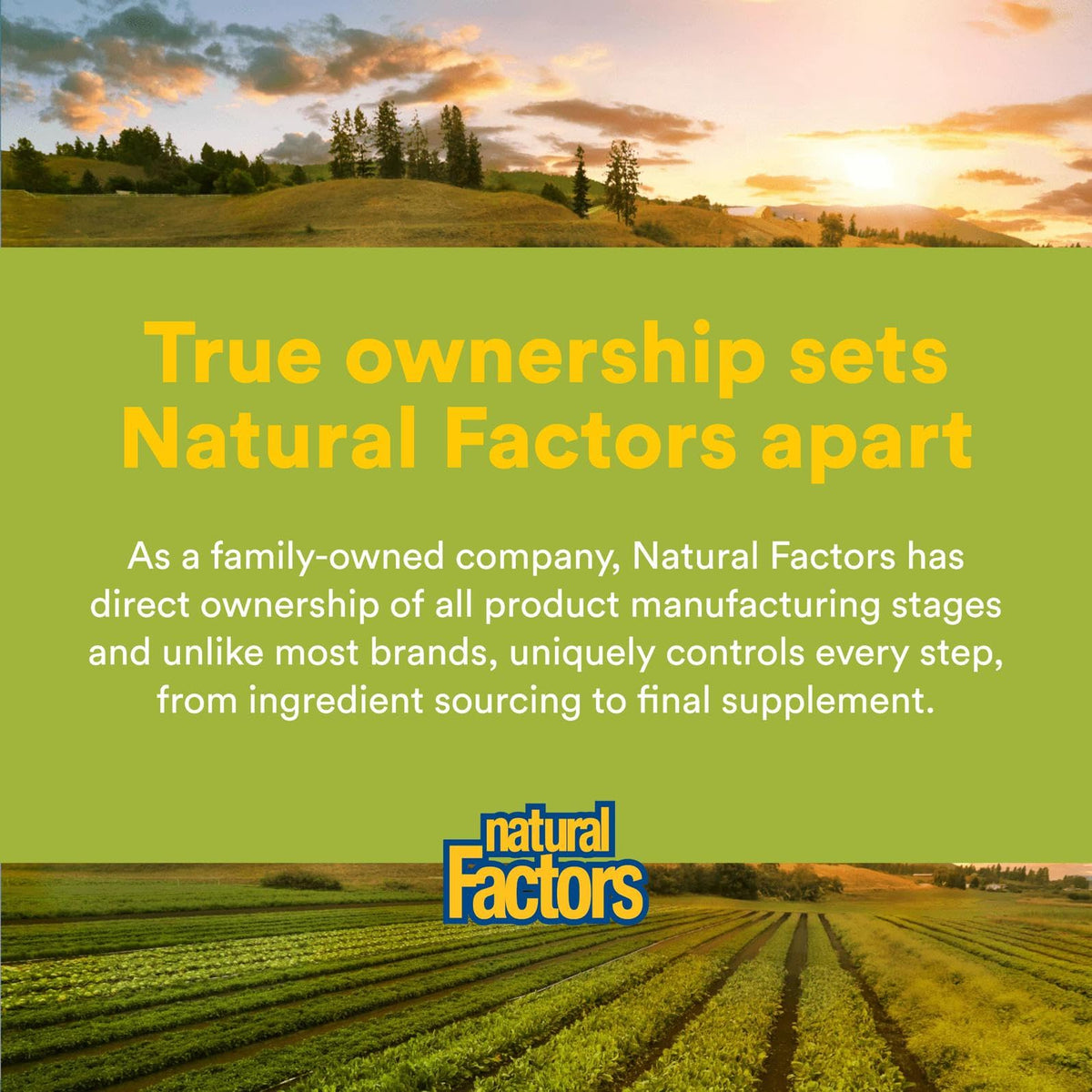 Natural Factors Whole Earth & Sea Multivitamínico para Hombres — 120 Comprimidos