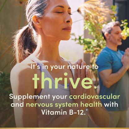 Nature’s Bounty Vitamin B12 1000 mcg, 200 Tablets