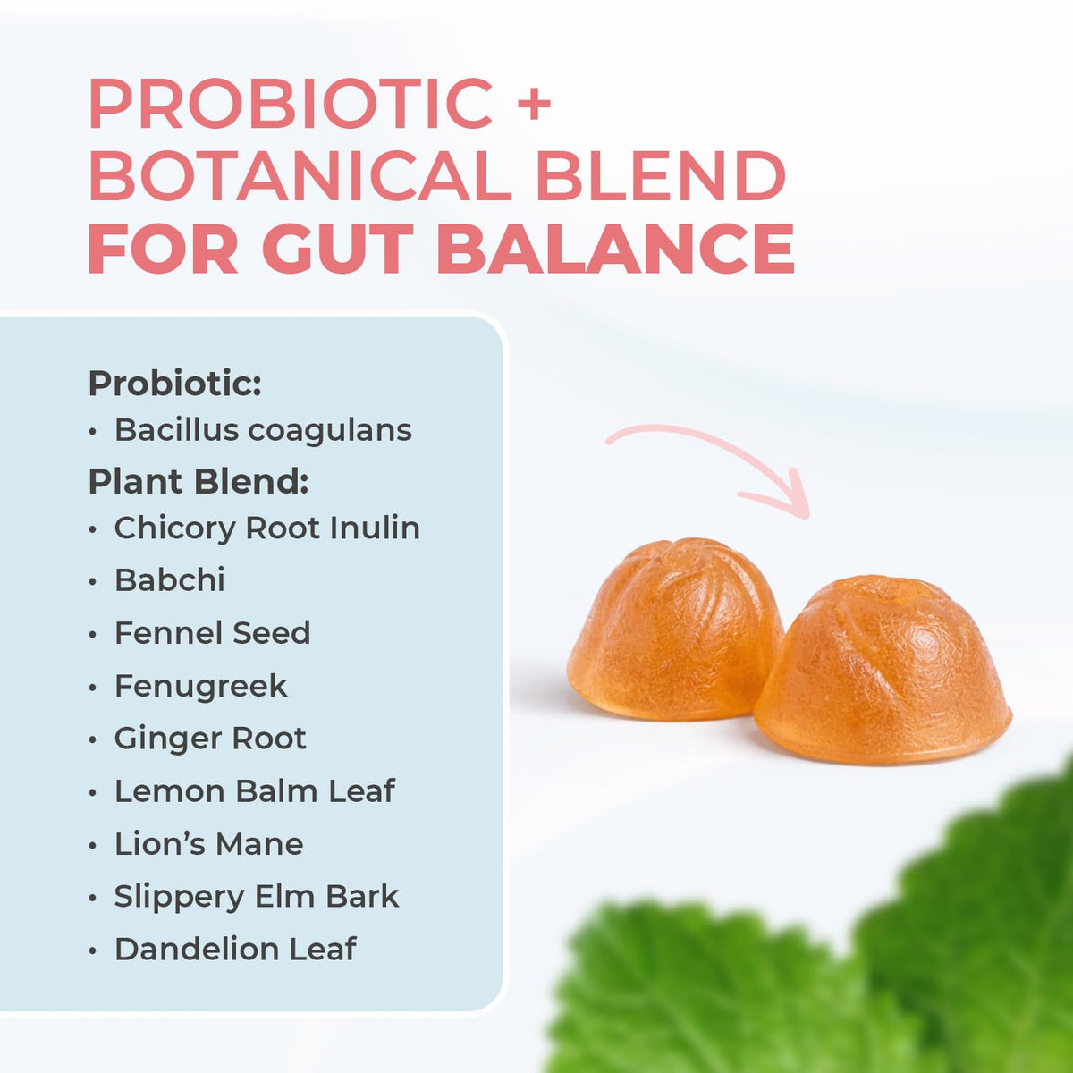 Nature's NutriWave PrimeBiome Probiotic Gummies – 6-Month Supply | 30 Gummies - Calm Era