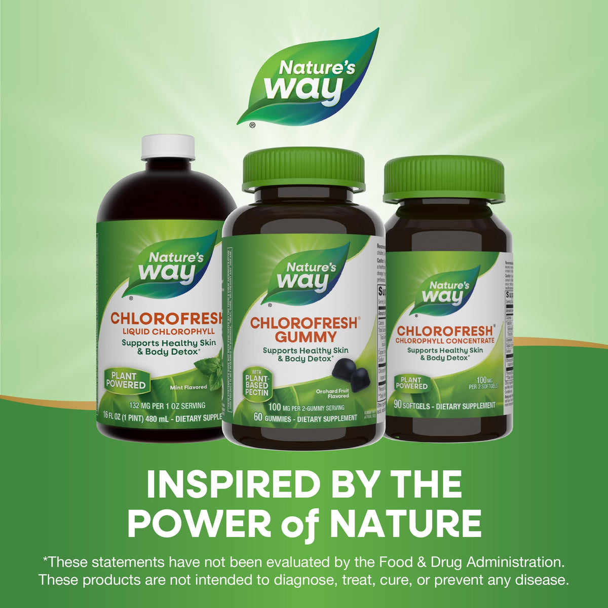 Nature’s Way Gomitas de clorofila Chlorofresh — Frutas del huerto, 60 unidades