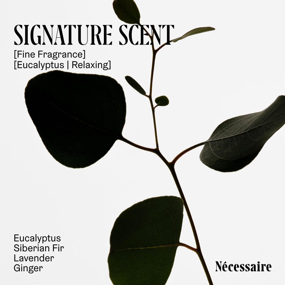 Nécessaire The Eucalyptus Body Lotion – Multi-Peptide Firming Moisturiser 450ml