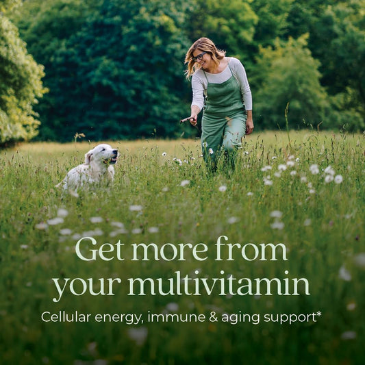 New Chapter Multivitamínico para mujeres 40+ | Uno al día, suave con el estómago vacío, sin OGM, sin gluten | 96 tabletas