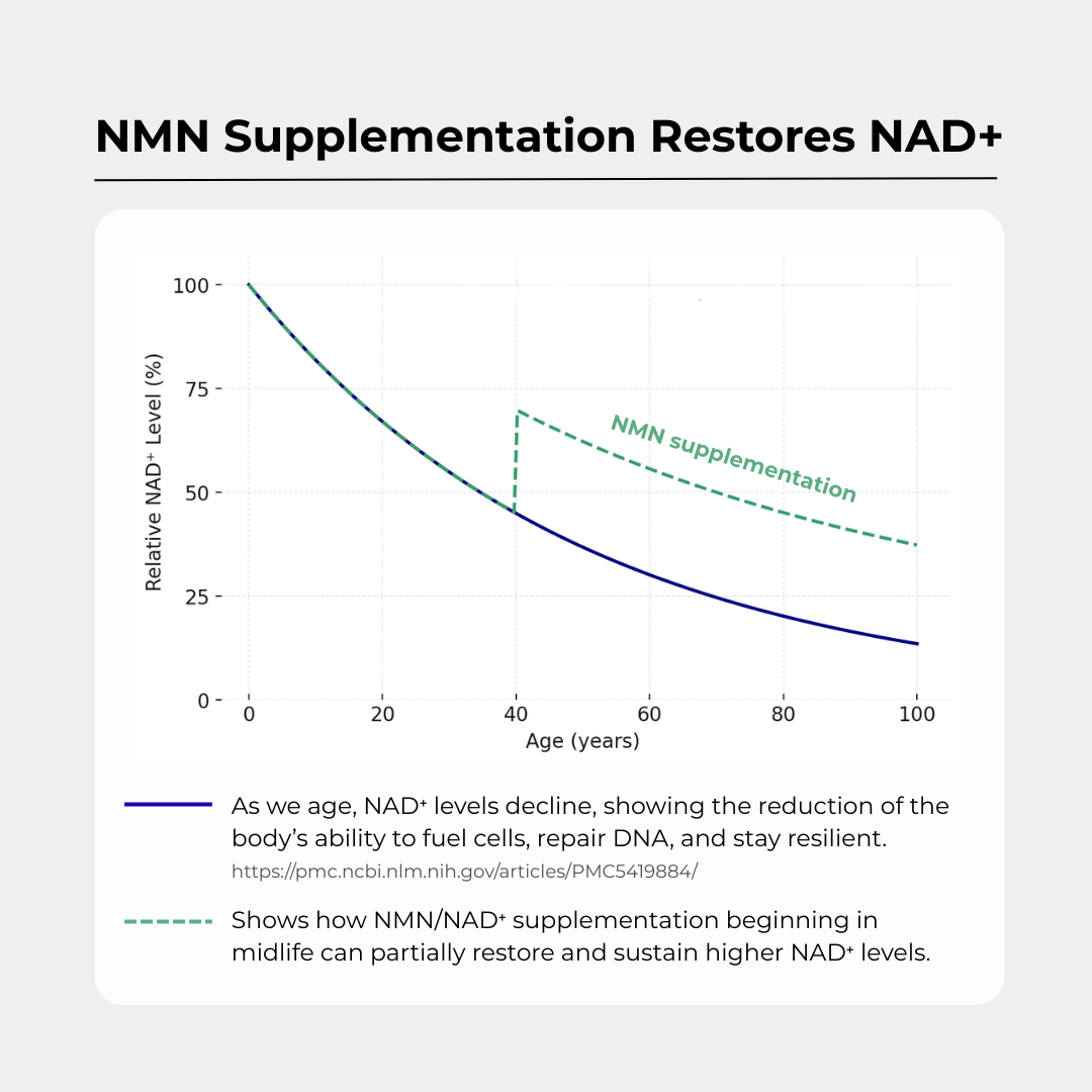 Cápsulas Charava NMN 500 mg — Reforzador de NAD+ Galardonado