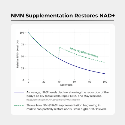 Cápsulas Charava NMN 500 mg — Reforzador de NAD+ Galardonado