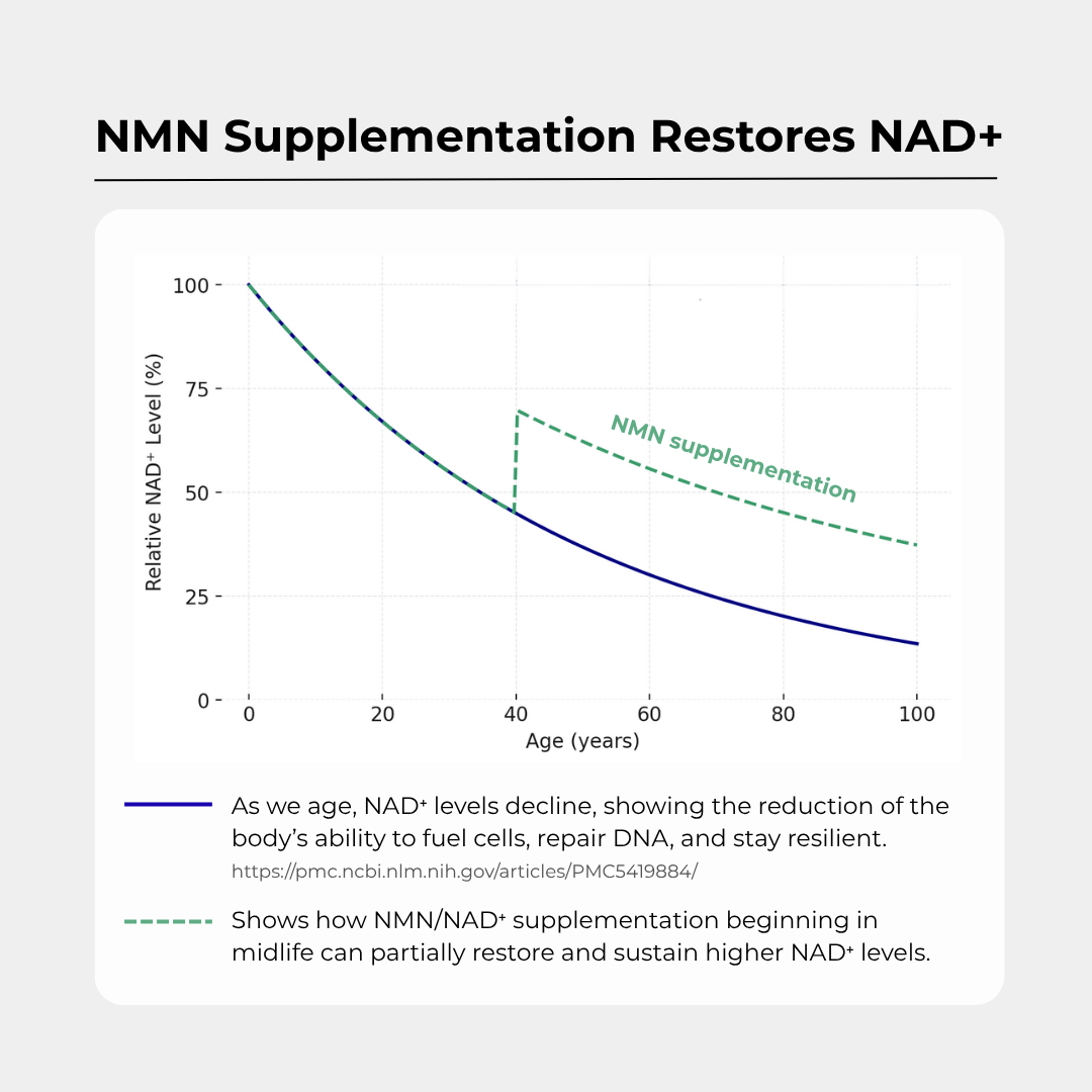 Charava NMN Powder — 99.6% Pure NAD+ Precursor