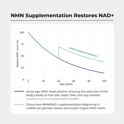 Charava NMN Powder — 99.6% Pure NAD+ Precursor