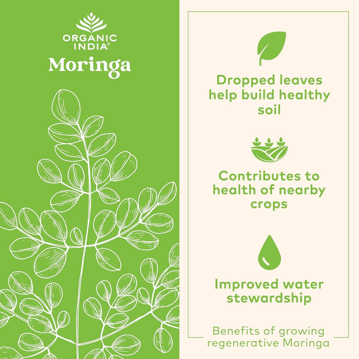 Organic India Moringa Powder 2-Pack | USDA Organic Green Superfood