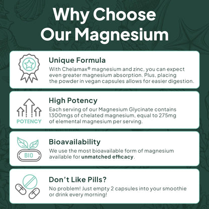 Organics Ocean Magnesium Glycinate with Zinc | Dead Sea | 3-Bottle Bundle