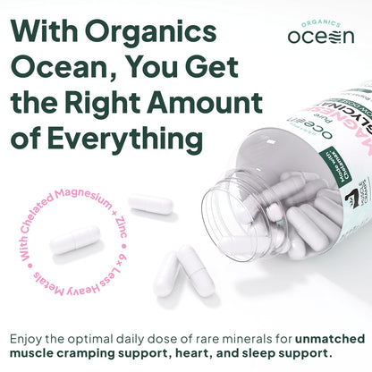 Organics Ocean Magnesium Glycinate with Zinc | Dead Sea | 3-Bottle Bundle