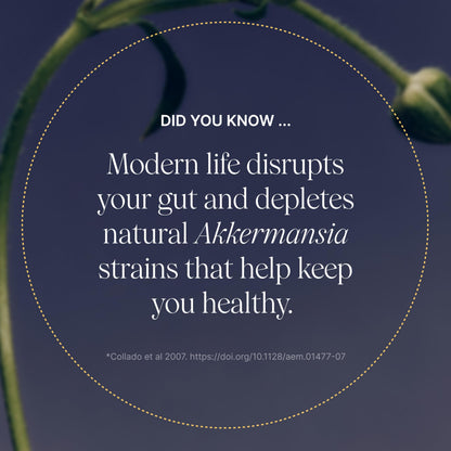 Pendulum Akkermansia Probiotic with Prebiotic Fiber 90 Capsules - Calm Era