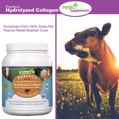 Perfect Supplements Hydrolyzed Collagen Powder – Grass-Fed, Brazilian Pasture-Raised | 660g × 2 - Calm Era