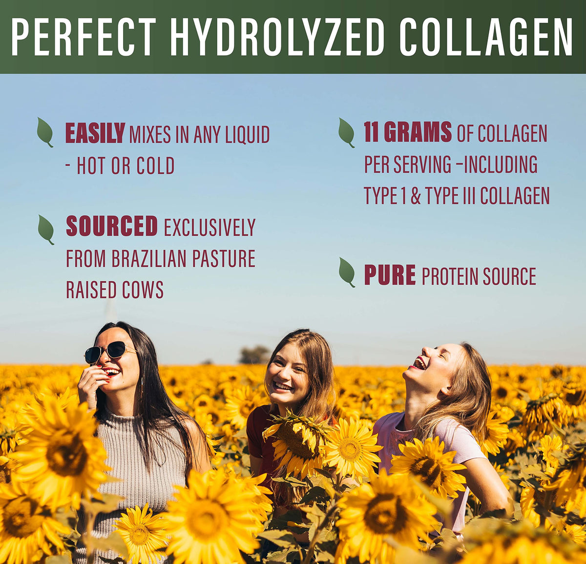 Perfect Supplements Hydrolyzed Collagen Powder – Unflavored | 660g - Calm Era